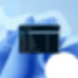 Windows Task Manager Interface