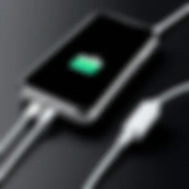 Notable Comprehensive Analysis of iPhone 11 Charging Cords Notable Comprehensive Analysis of iPhone 11 Charging Cords