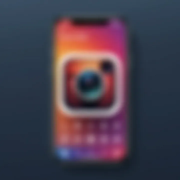 Screenshot of a user-friendly interface of an Instagram maker app