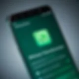 Smartphone screen displaying WhatsApp installation process