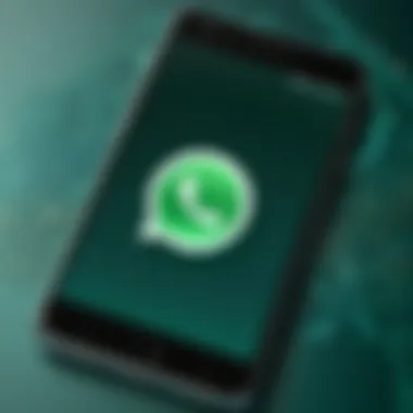 WhatsApp installation screen on a smartphone