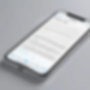 Text Conversion Application Interface Screenshot of a text conversion app on iPhone