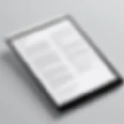 Screenshot of PDF reader interface