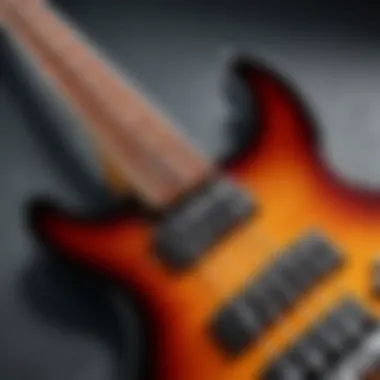 Learning Modules in Bass Guitar Application A screenshot of a bass guitar app showcasing its learning modules