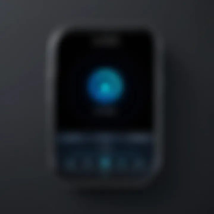 Illustration of user interface of a leading app lock.