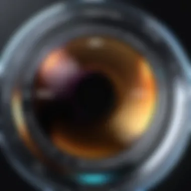 Exploring the iPhone 12 Pro Max Wide Angle Lens: A Comprehensive Analysis Summary Exploring the iPhone 12 Pro Max Wide Angle Lens: A Comprehensive Analysis Summary