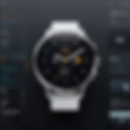 A detailed overview of the Mac Watch app interface