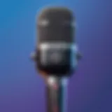 Interface of the Fortnite microphone app showcasing features