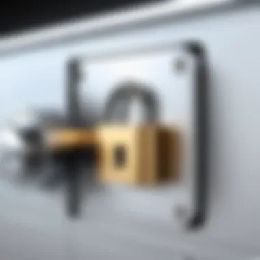 Unlocking Your Digital Vault Illustration of a locked digital vault