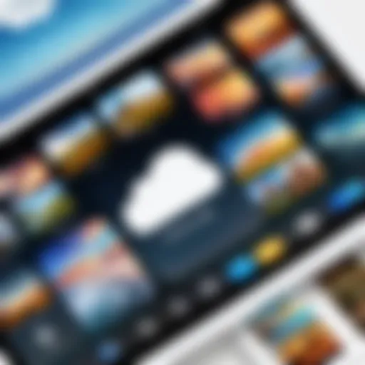 iCloud storage interface showcasing photo album options