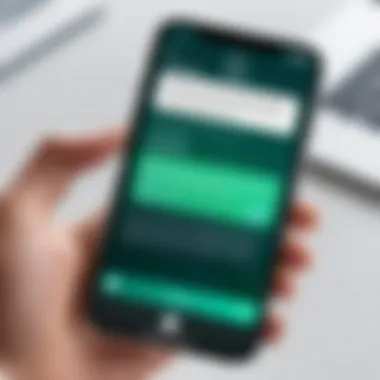 Translation Feature on iPhone iPhone screen displaying translation feature
