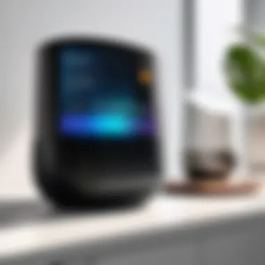 Interface for managing smart home devices in Google Home Smart home device management interface within the app