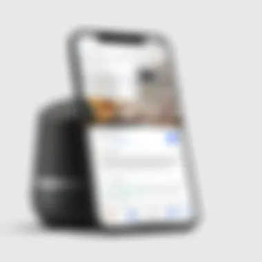 Google Home app on an iOS device iOS device showcasing the Google Home application