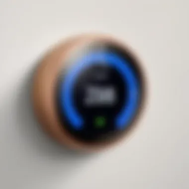 Nest Thermostat design showcase