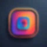 Understanding Instagram blocking dynamics