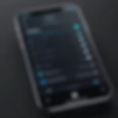User-Friendly App Interface User interface of a popular iPhone speaker cleaner app