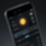 Interface showing flashlight options on iPhone SE