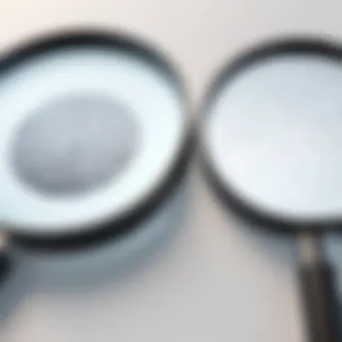 Standard vs. Magnifier View: A Clear Difference Visual comparison of standard view and Magnifier view