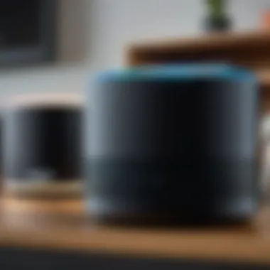 Connectivity options for Alexa settings